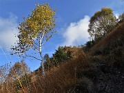 MONTE GIOCO (1366 m) colorato d鈥檃tunno, da Spettino di S. Pellegrino Terme la mattina del 25 ottobre 2020 - FOTOGALLERY